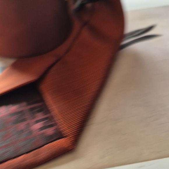TED LAOIDUS PARIS RUSTY ORANGE Tie Luxurious Accessory - Picture 3 of 9